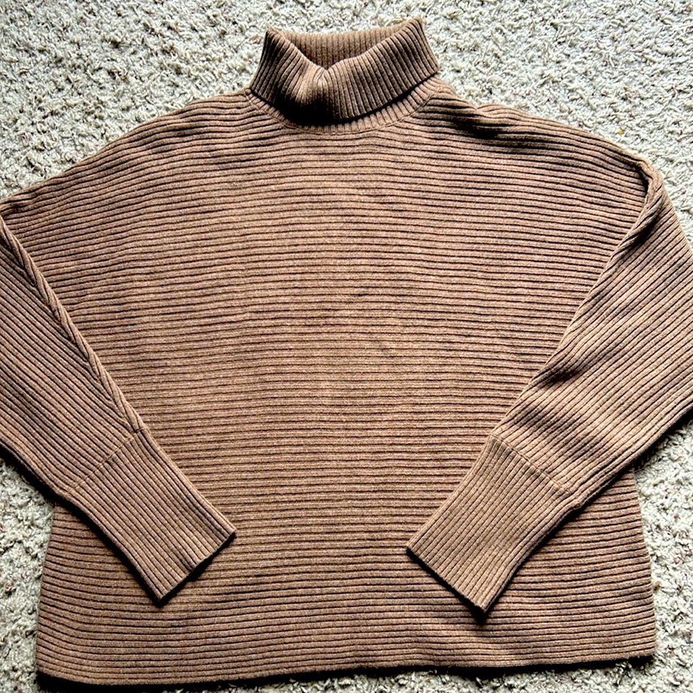 Babaton sweater.